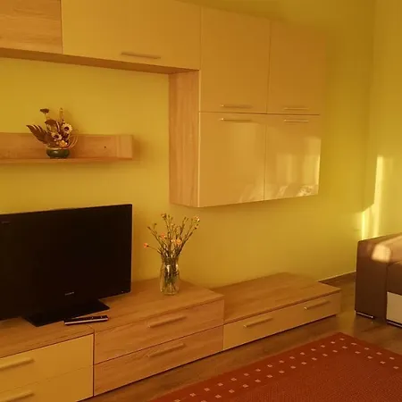 Central Apartment Apartment *